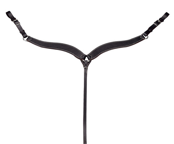 Randol's western borsttuig