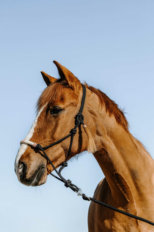 Westride touwhalster Western