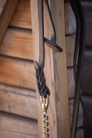 Paddock Hengstenketting Presentation