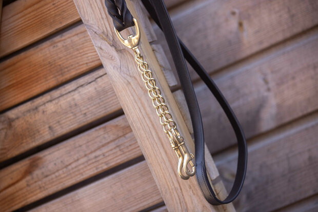 Paddock Hengstenketting Presentation