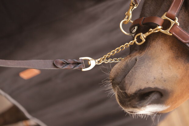 Paddock Hengstenketting Presentation