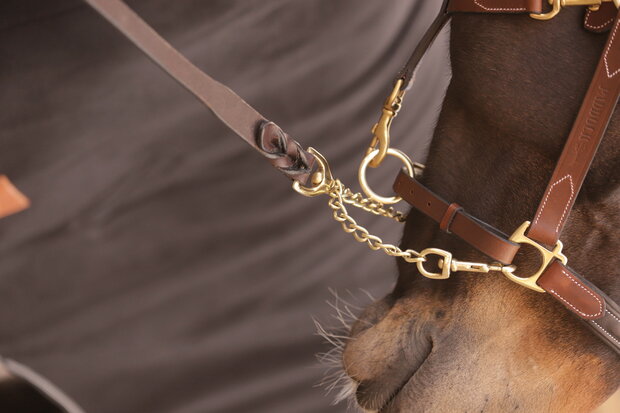 Paddock Hengstenketting Presentation