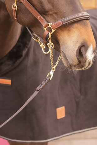 Paddock Hengstenketting Presentation