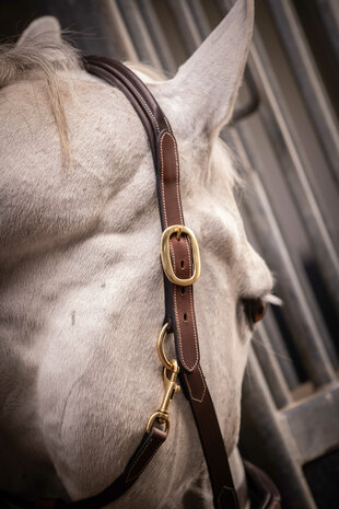 Paddock Leren Halster