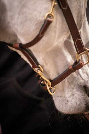 Paddock Leren Halster