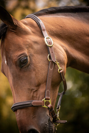 Paddock Leren Halster