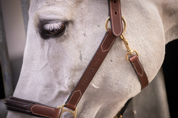 Paddock Leren Halster
