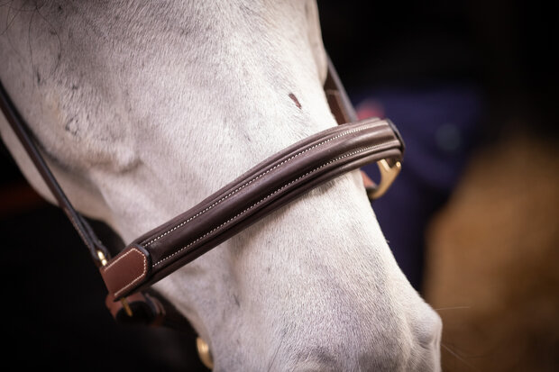 Paddock Leren Halster