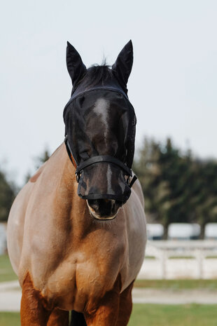 EquiTheme vliegenmasker halster