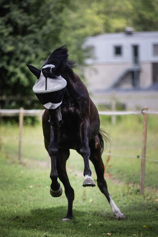 Lami-Cell vliegenmasker Easyfit