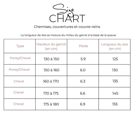 Paddock UV werende vliegendeken Mesh combo