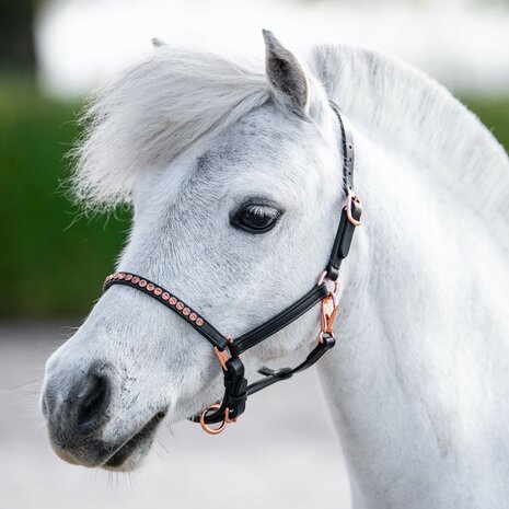 Harry's Horse leren pony/veulen halster Crystal Rosegold