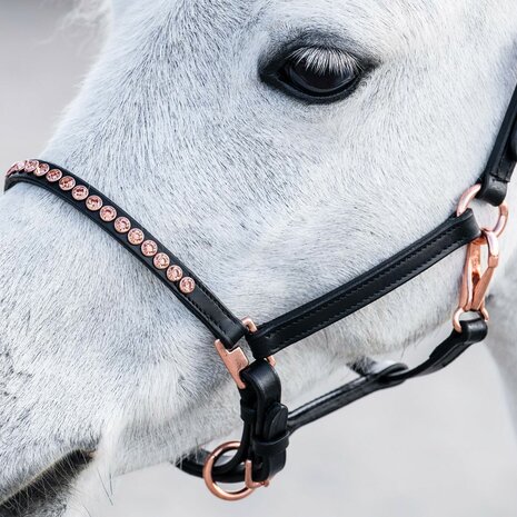 Harry's Horse leren pony/veulen halster Crystal Rosegold