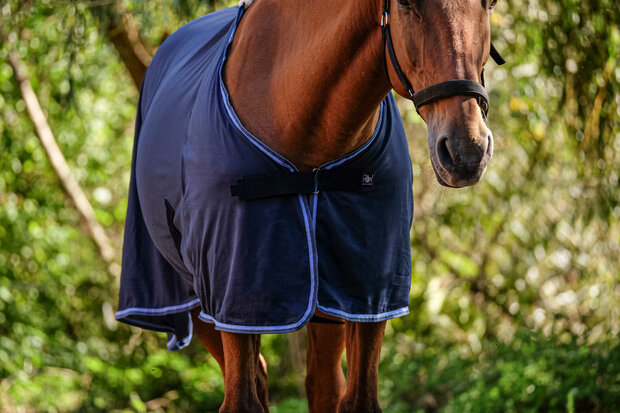 Riding World vliegendeken