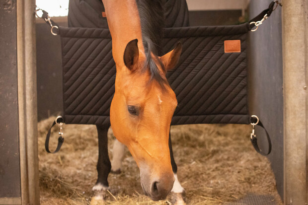 Paddock staldeurpaneel