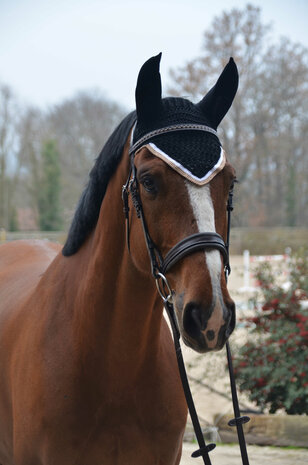 Paddock oornetje Origine