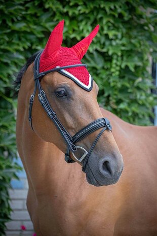 Paddock oornetje Origine