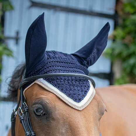 Paddock oornetje Origine