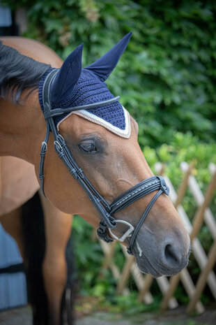 Paddock oornetje Origine