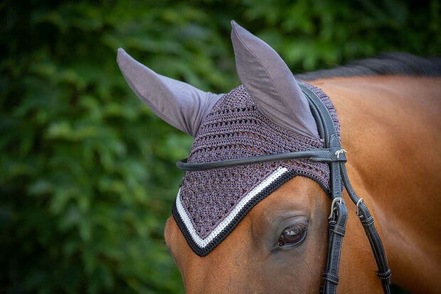 Paddock oornetje Origine