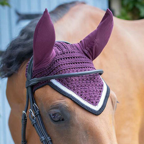 Paddock oornetje Origine