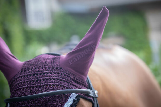 Paddock oornetje Origine