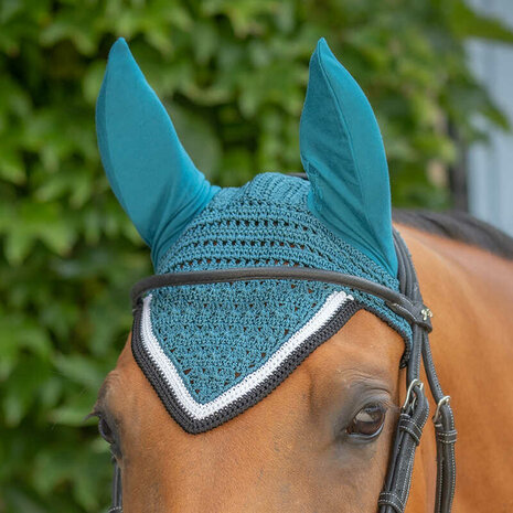 Paddock oornetje Origine