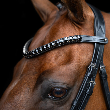 Imperial Riding frontriem Maxima