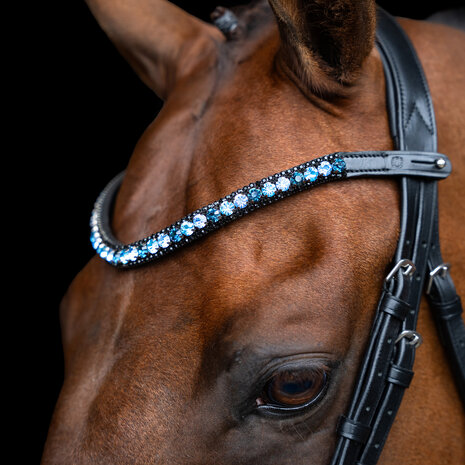 Imperial Riding frontriem Grande