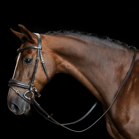 Imperial Riding teugels glad leer