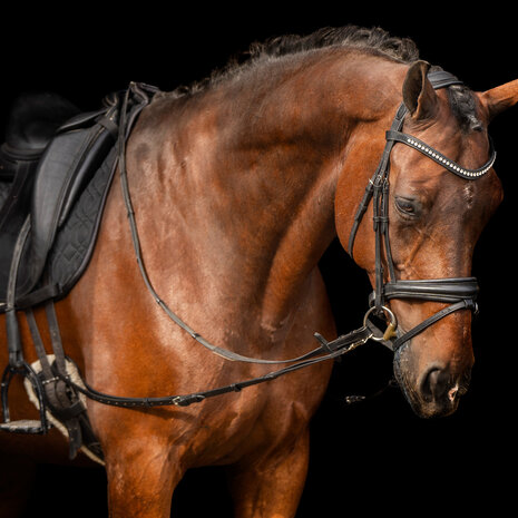 Imperial Riding leren bijzetteugels met elastiek