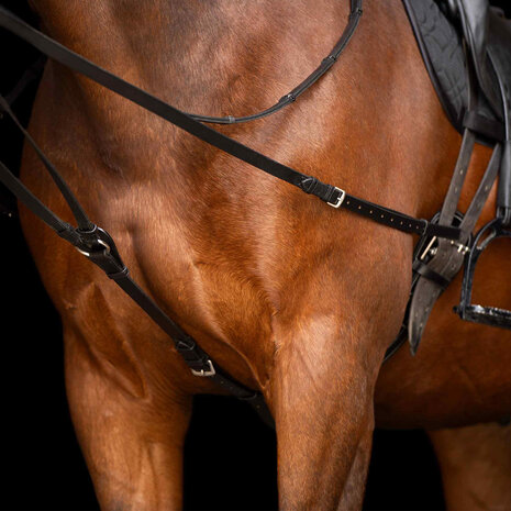 Imperial Riding driehoeksteugel Core