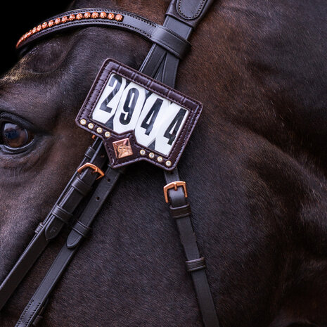 Imperial Riding startnummer Show and Glow