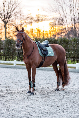 Imperial Riding strijklappen Lovely