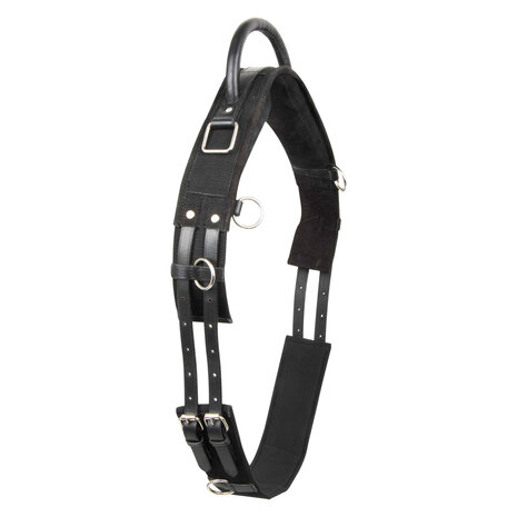 Imperial Riding voltigesingel Vito