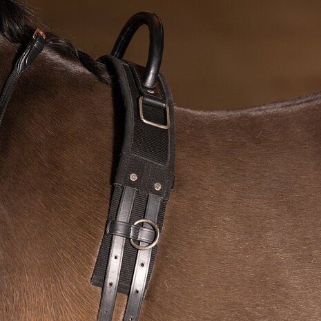 Imperial Riding voltigesingel Vito