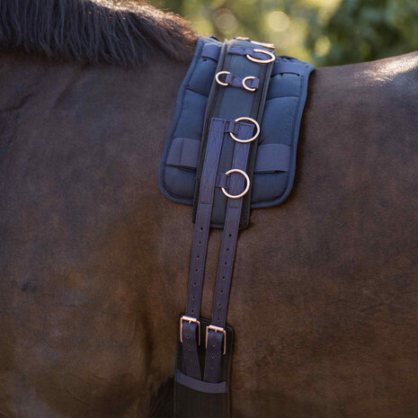 Imperial Riding longeersingel Deluxe Extra