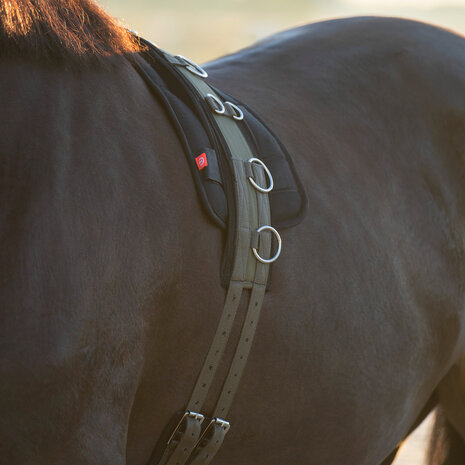 Imperial Riding longeersingel Deluxe Extra