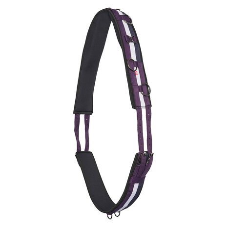 Imperial Riding longeersingel Deluxe Extra