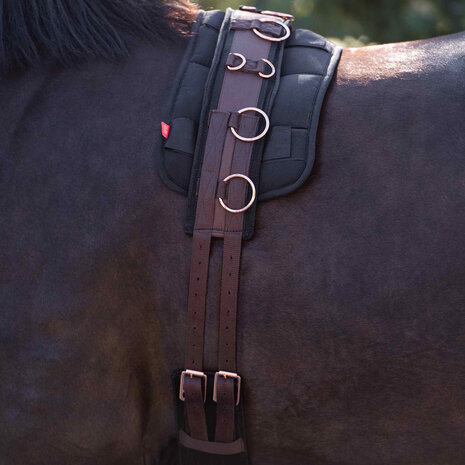 Imperial Riding longeersingel Deluxe Extra