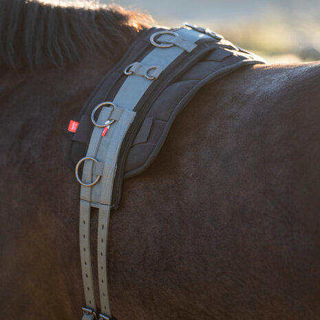 Imperial Riding longeersingel Deluxe Extra