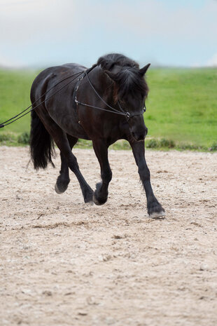 Imperial Riding dubbele longeerlijn Free Ride