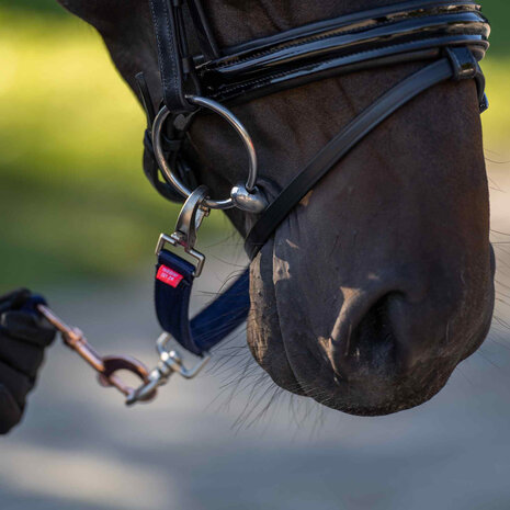 Imperial Riding bitstukje
