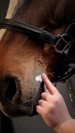 Kevin Bacon's honingzalf DermaProtek 50ml