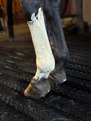 Kevin Bacon's groene leem Fresh Clay 1,5 kg