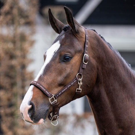 HV Polo Halster Nena
