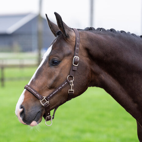 HV Polo Halster Nena