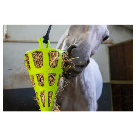 Excellent slowfeeder Fun & Flex Carrot