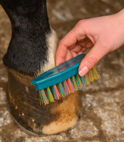Waldhausen hoevenborstel regenboog
