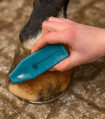 Waldhausen hoevenborstel regenboog